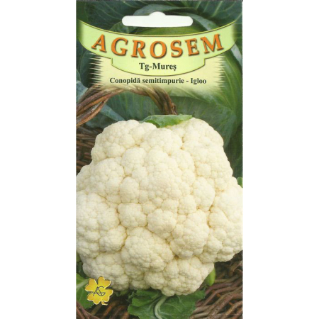 Seminte conopida - Seminte Conopida Semitimpurie Igloo 0.8g Agrosem - Calitate Superioara