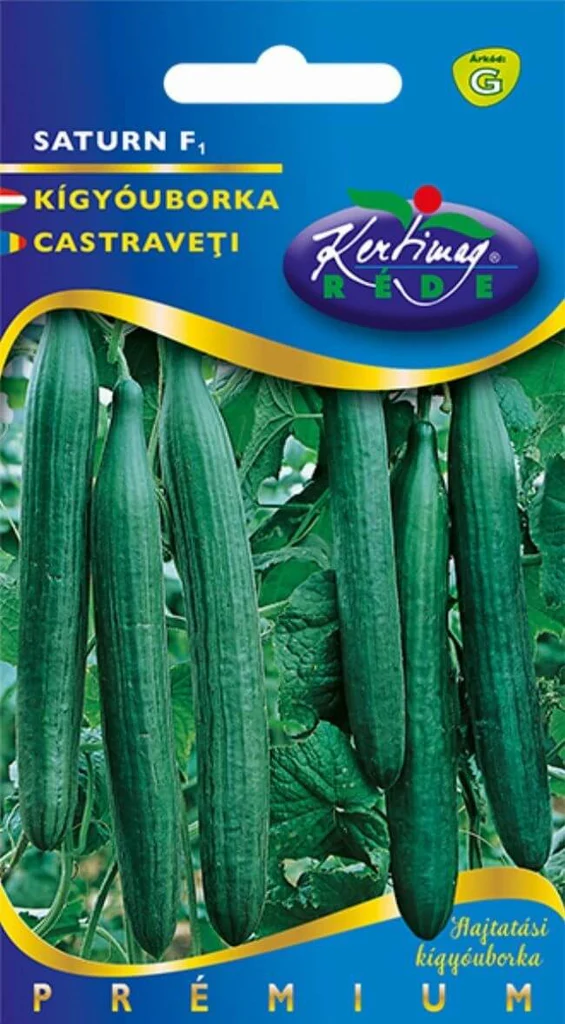 Seminte legume - Semințe de Castraveți Saturn F1