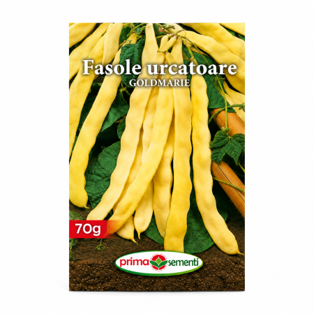 Seminte legume - Seminte de Fasole Urcatoare Goldmarie 70g, Fasole Galbena Lata Profesionala pentru Palisat