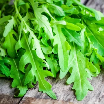 Seminte de Rucola 5g Prima Sementi, Plante Aromatice pentru Gradina si Balcon [1]