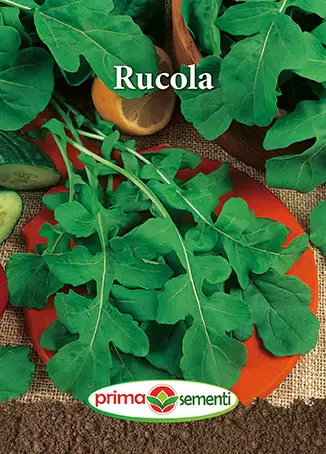 Seminte legume - Seminte de Rucola 5g Prima Sementi, Plante Aromatice pentru Gradina si Balcon