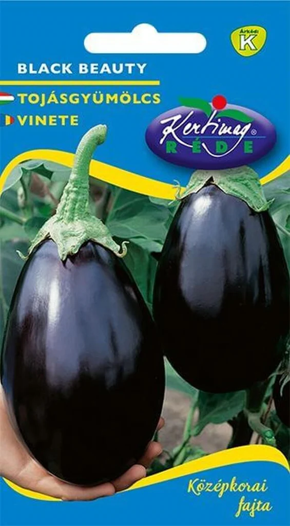 Seminte legume - Seminte de Vinete Black Beauty