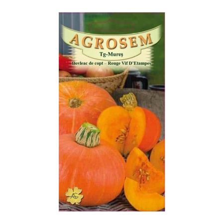 Seminte dovlecel / dovleac - Seminte Dovleac copt Rouge Vif D'Etampes 1.5g Agrosem - Dovleacul Placintar Rosu