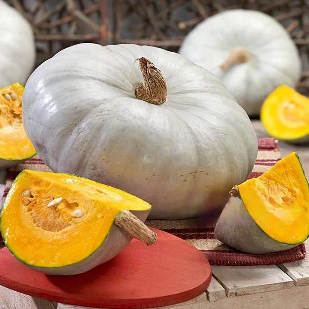 Seminte Dovleac de Copt Nagydobosi 3g Kertimag - Soi Traditional cu Pulpa Dulce si Aromata [1]