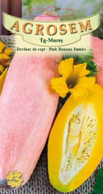 Seminte dovlecel / dovleac - Seminte Dovleac de copt Pink Banana Jumbo 1.5g Agrosem - Dovleac Urias Roz