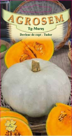 Seminte - Seminte Dovleac de Copt Tudor 6g Agrosem - Soi Romanesc Dulce si Aromat