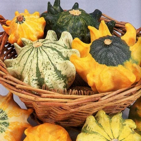 Seminte Dovleac Decorativ Crown Mix 2g Kertimag - Forme de Coroana Diversificate [2]