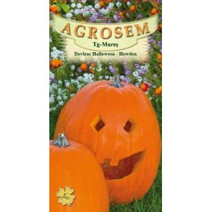 Seminte dovleac decorativ - Seminte Dovleac Halloween Howden 1.5g Agrosem - Dovleacul Perfect pentru Sculptat