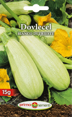 Seminte legume - Seminte Dovlecel Bianco di Trieste 15g - Soi Timpuriu Tip Tufa Foarte Productiv
