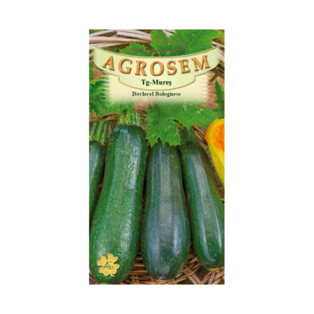 Seminte - Seminte Dovlecel Bolognese 2g Agrosem - Dovlecel Scurt si Gros pentru Umplut