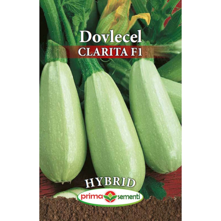 Seminte dovlecel / dovleac - Seminte Dovlecel Clarita F1 Hybrid 3.5g Prima Sementi - Productiv si Rezistent