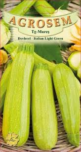 Seminte dovlecel / dovleac - Seminte Dovlecel Italian Light Green 3g Agrosem - Dovlecel cu Coaja Verde Deschis