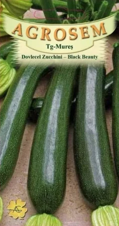 Seminte dovlecel / dovleac - Seminte Dovlecel Zucchini Black Beauty 3g Agrosem - Dovlecel Verde Inchis