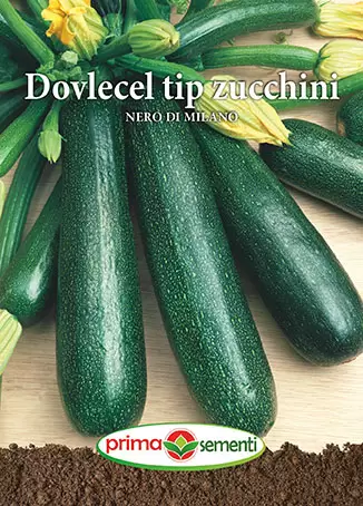 Seminte dovlecel / dovleac - Seminte Dovlecel Zucchini Nero di Milano 15g Prima Sementi - Zucchini Verde Inchis