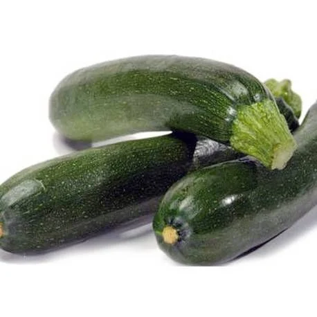 Seminte Dovlecel Zucchini Nero di Milano 15g Prima Sementi - Zucchini Verde Inchis [3]