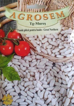 Seminte fasole - Seminte Fasole Boabe Great Northern 50g Agrosem - Boabe Albe si Cremoase