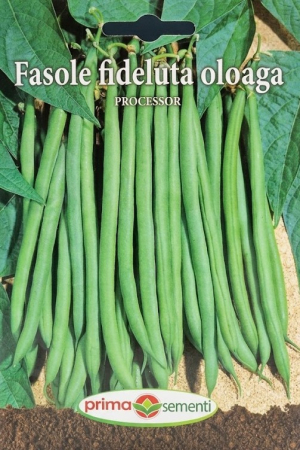 Seminte fasole - Seminte Fasole Fideluta Oloaga Processor 15g - Soi Verde Pitic Fara Ate