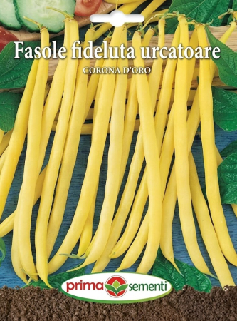 Seminte fasole - Seminte Fasole Fideluta Urcatoare Corona D'Oro 10g - Soi Galben Productiv