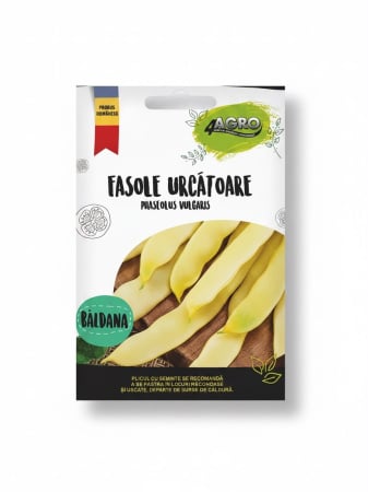 Seminte fasole - Seminte Fasole Galbena Oloaga Baldana 25g - Soi Lat Fara Ate si Foarte Carnos