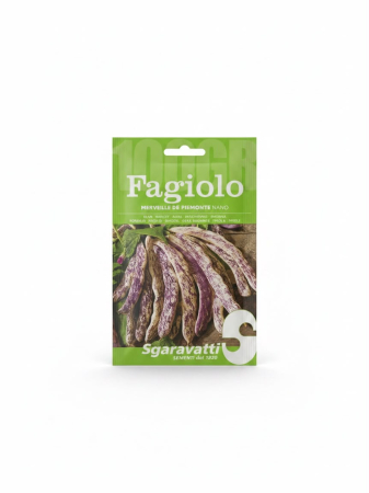 Seminte fasole - Seminte Fasole Galbena Oloaga Merveille de Piemonte 100g - Soi Bicolor Lat Fara Ate