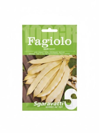 Seminte fasole - Seminte Fasole Galbena Oloaga Odir 100g - Soi Lat Fara Ate Foarte Productiv