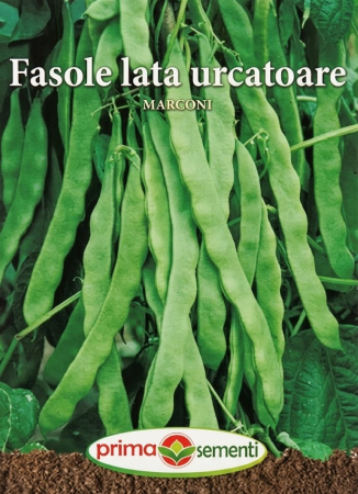 Seminte - Seminte Fasole Lata Urcatoare Marconi 10g - Soi Productiv