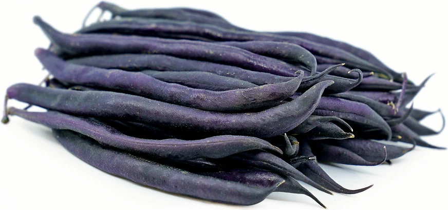 Seminte Fasole Mov Purple Queen, 50 g, Kertimag, Fasole Fidelluta Pitica Fara Ate [2]