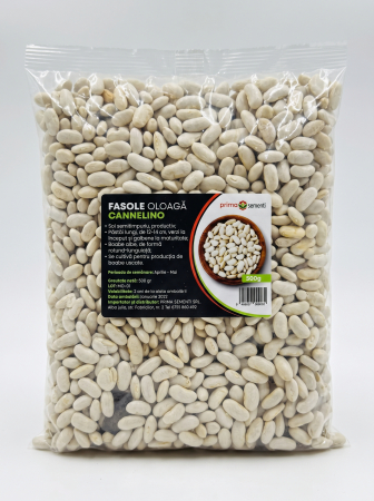 Seminte legume - Seminte Fasole Oloaga Cannelino 500g - Soi Alb Pitic Productiv