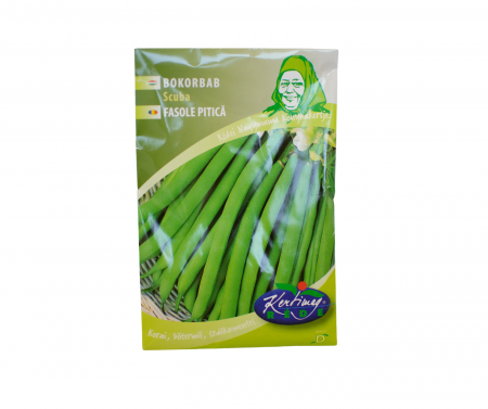 Seminte fasole - Seminte Fasole oloaga cu pastaia verde Scuba