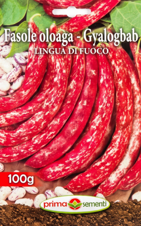 Seminte fasole - Seminte Fasole Oloaga Lingua di Fuoco 100g - Soi Pestrit Timpuriu si Productiv