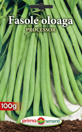 Seminte fasole - Seminte Fasole Oloaga Processor 100g - Soi Verde Pitic Fara Ate
