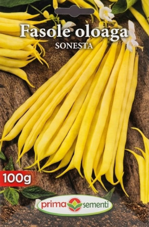 Seminte - Seminte Fasole Oloaga Sonesta 100g - Soi Galben Pitic Fara Ate