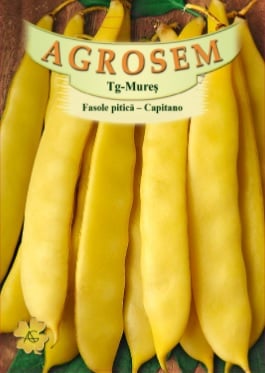 Seminte - Seminte Fasole Pitica Capitano 10g Agrosem - Fasole Lata Galbena fara Ate