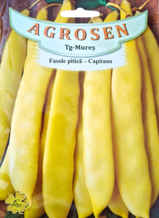 Seminte fasole - Seminte Fasole Pitica Capitano 40g Agrosem - Pastai Late Galbene Tip Fideluta