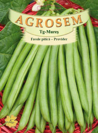 Seminte - Seminte Fasole Pitica Provider 50g Agrosem - Pastai Verzi Fragede si Fara Ate