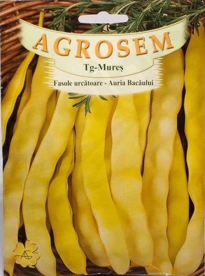Seminte fasole - Seminte Fasole Urcatoare Auria Bacaului 25g - Soi Romanesc de Calitate