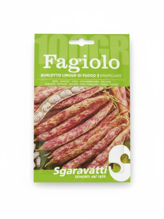 Seminte fasole - Seminte Fasole Urcatoare Bicolora Borlotto Lingua di Fuoco 3 100g - Pastai Late si Boabe Pestrite