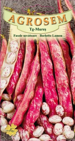 Seminte - Seminte Fasole Urcatoare Borlotto Lamon 10g Agrosem - Fasole Pestrita de Calitate
