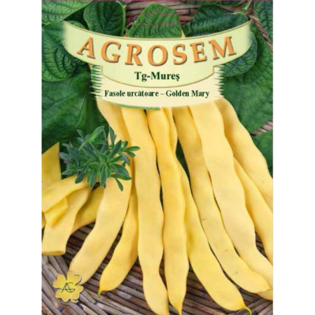 Seminte - Seminte Fasole Urcatoare Galbena Lata Golden Mary 10g Agrosem - Soi Productiv