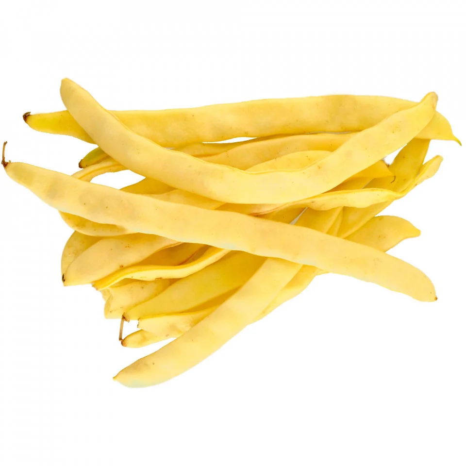 Seminte Fasole Urcatoare Galbena Lata Golden Mary 10g Agrosem - Soi Productiv [1]