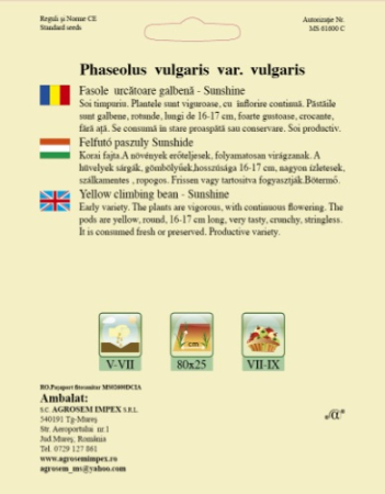 Seminte Fasole Urcatoare Galbena Rotunda Sunshine 80g Agrosem - Soi Fin si Productiv [2]