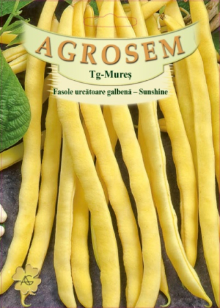 Seminte fasole - Seminte Fasole Urcatoare Galbena Rotunda Sunshine 80g Agrosem - Soi Fin si Productiv