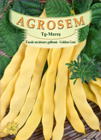 Seminte fasole - Seminte Fasole Urcatoare Golden Gate 80g Agrosem - Format Economic pentru Productii Mari