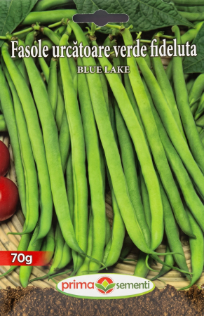 Seminte fasole - Seminte Fasole Urcatoare Verde Fideluta Blue Lake 70g - Soi Productiv