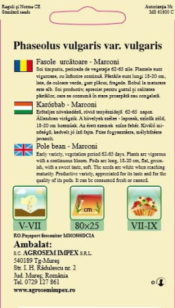 Seminte Fasole Urcatoare Verde Lata Marconi 40g Agrosem - Pastai Lungi si Fragede fara Ate [1]