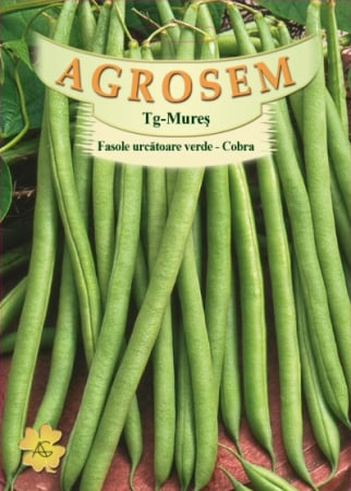 Seminte fasole - Seminte Fasole Urcatoare Verde Rotunda Cobra 30g Agrosem - Fideluta Profesionala fara Ate