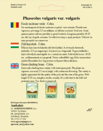 Seminte Fasole Urcatoare Verde Rotunda Cobra 80g Agrosem - Format Economic Productie Mare [2]