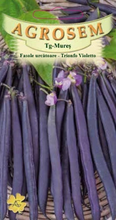 Seminte - Seminte Fasole Urcatoare Violet Trionfo Violetto 40g Agrosem - Aspect Exotic si Gust Fin