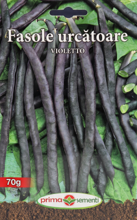Seminte legume - Seminte Fasole Urcatoare Violetto 70g - Soi Violet Productiv