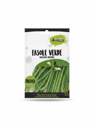 Seminte fasole - Seminte Fasole Verde Oloaga Slenderette 100g - Soi Premium Fara Ate si Pastai Fine Gourmet